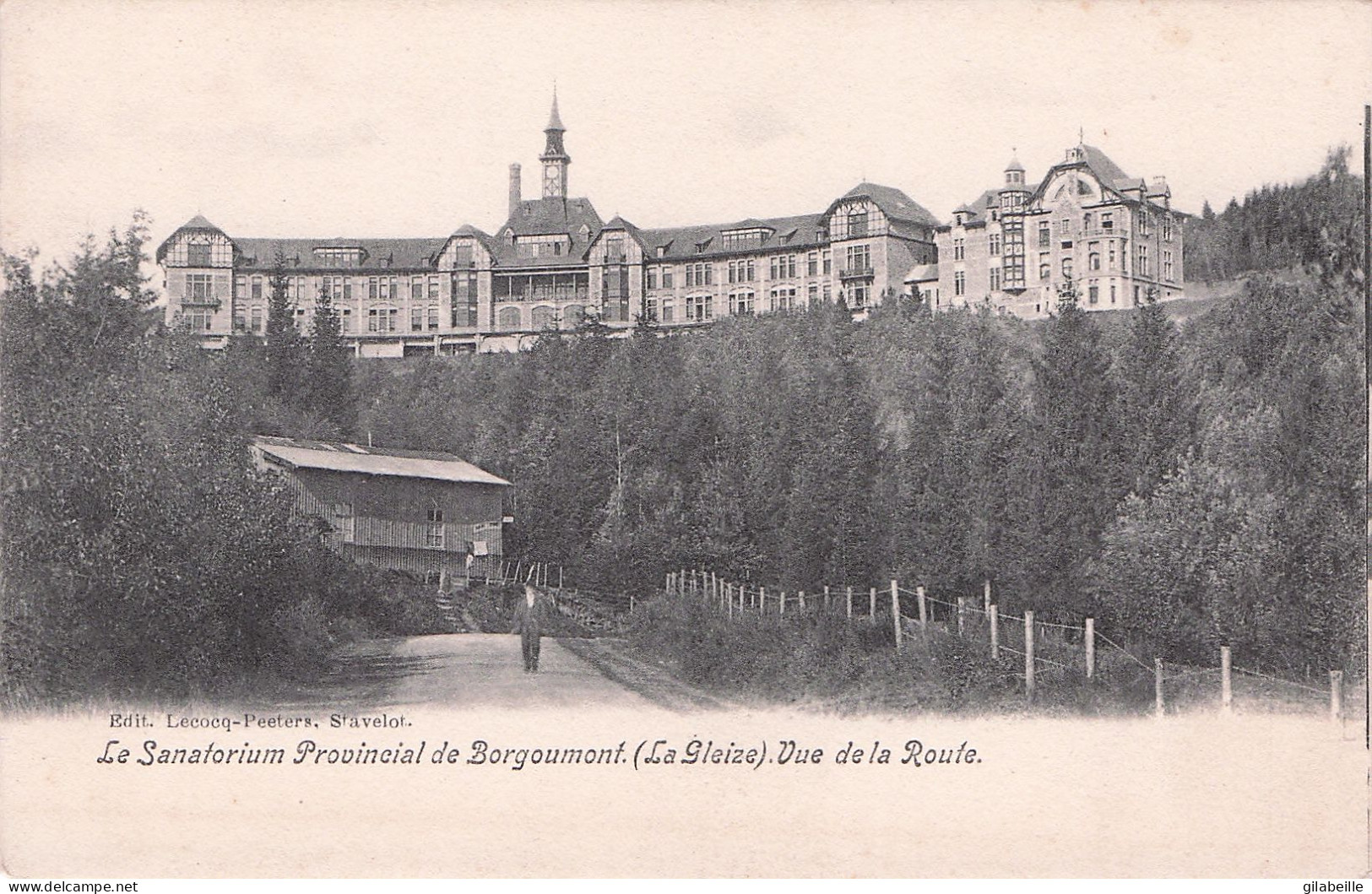 Stoumont - Le Sanatorium Provincial BORGOUMONT - Vue De La Route - Stoumont