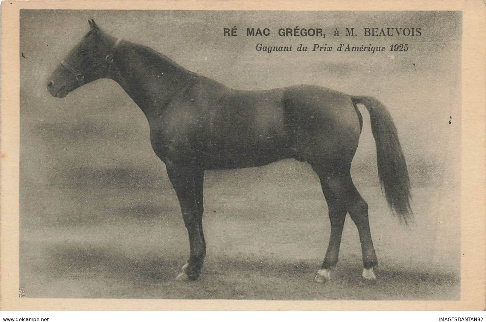 SPORTS AD#MK268 RE MAC GREGOR A M BEAUVOIS GAGNANT DU PRIX D AMERIQUE 1925 HIPPISME CHEVAL - Reitsport