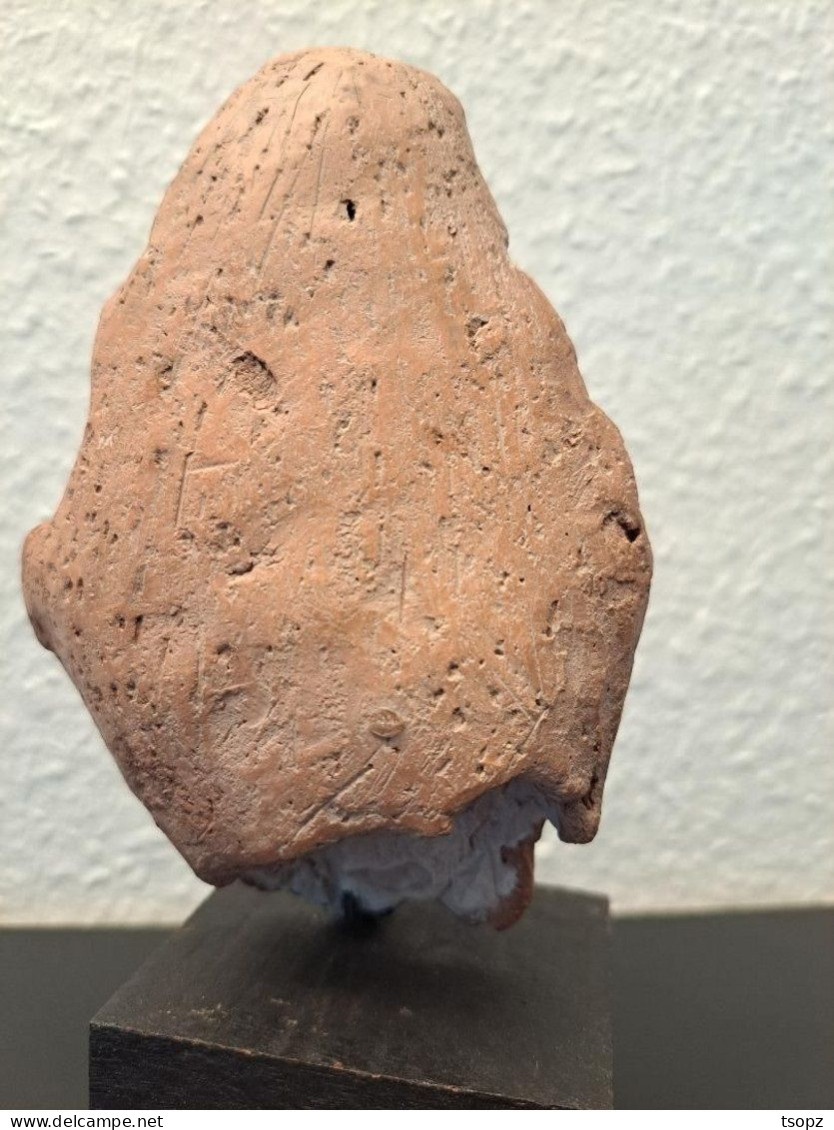 Buste Romain D'un SATYRE 1er - 3me Siècle - Archaeology