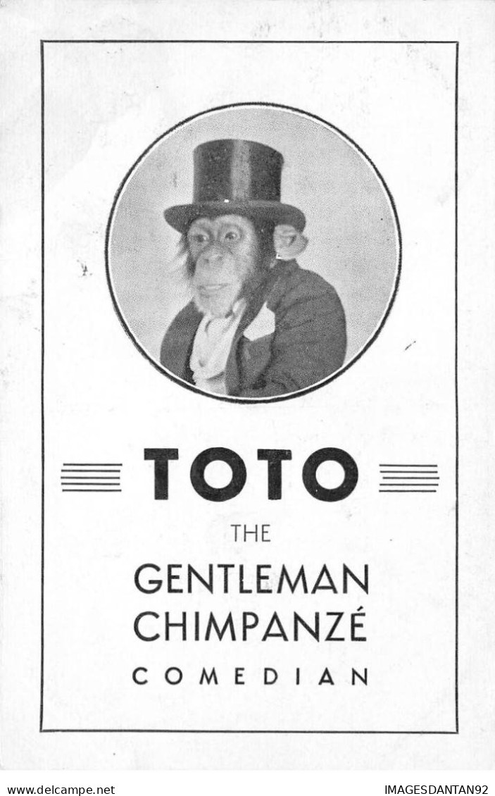 SPECTACLE AF#DC584 CIRQUE TOTO THE GENTLEMAN CHIMPANZE COMEDIAN - Circus