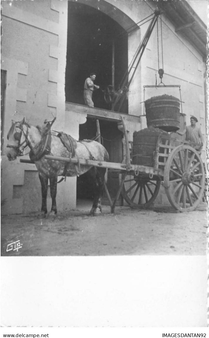 33 SAINT EMILION AI#DC280 AU CUVIER DECHARGEMENT DES DOUILS ATTELAGE CHARIOT CHEVAL AVEC BARRIQUES DE RAISIN - Saint-Emilion