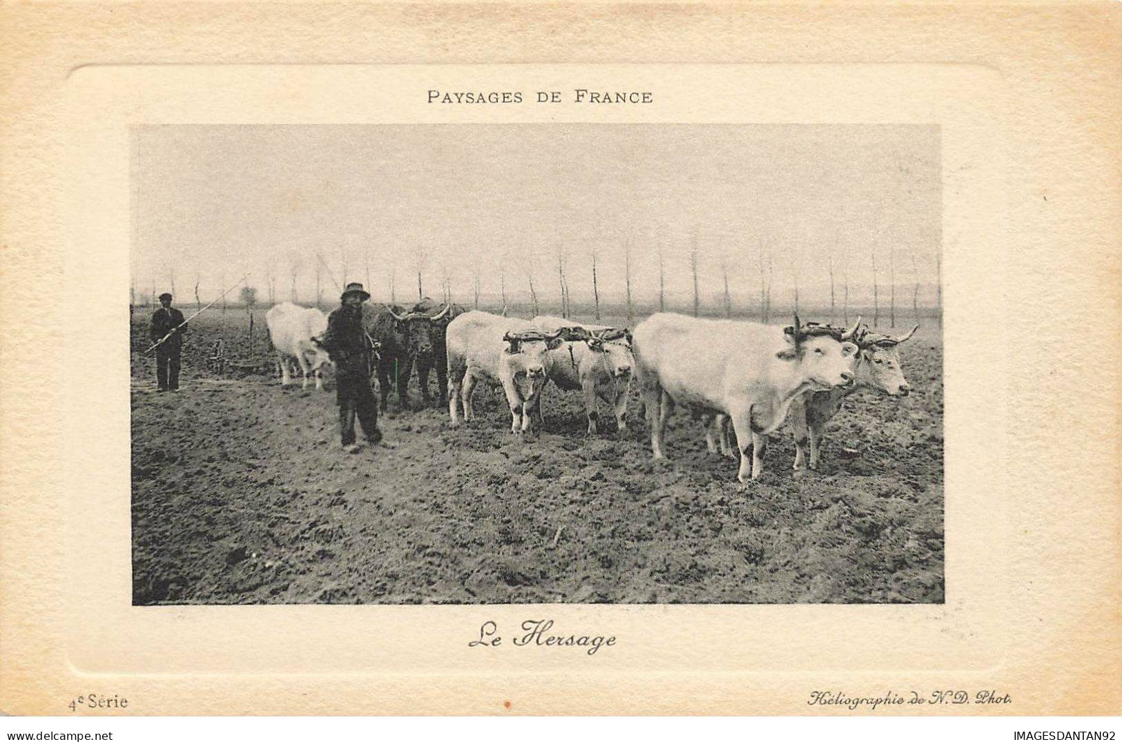 AGRICULTURE AG#MK758 PAYSAGES DE FRANCE LE HERSAGE ATTELAGE BOEUFS - Attelages