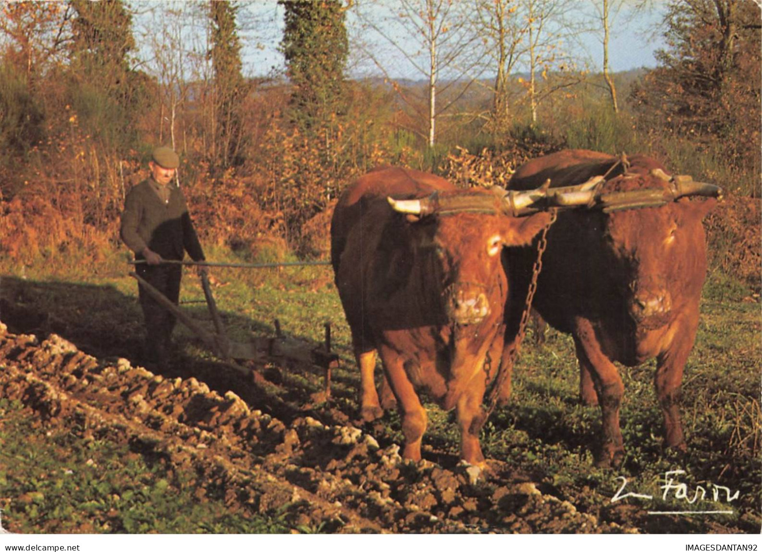 AGRICULTURE AG#MK763 LE LABOUREUR ATTELAGE BOEUFS - Wagengespanne