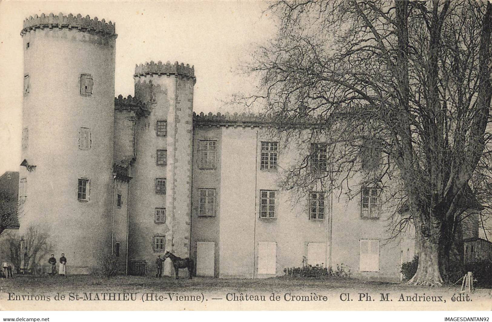 87 SAINT MATHIEU AG#MK488 ENVIRONS CHATEAU DE CROMIERE CHEVAL - Saint Mathieu