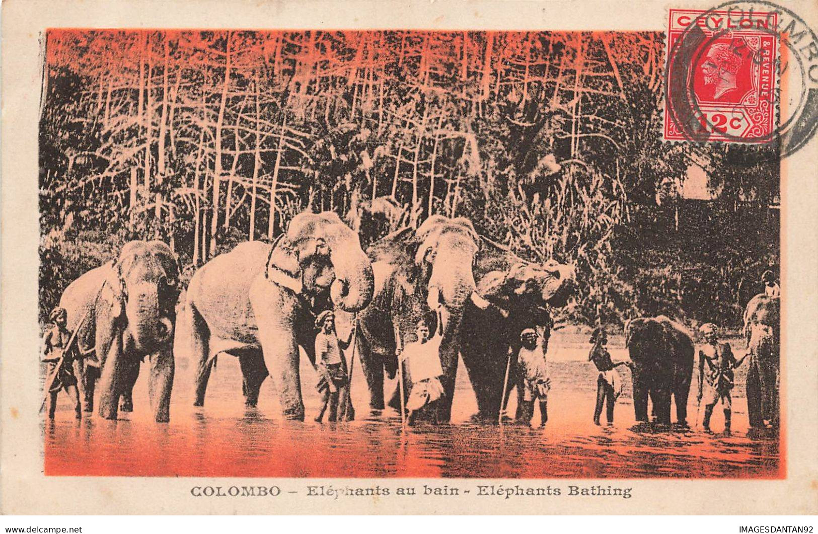 SRI LANKA AM#DC025 COLOMBO LES ELEPHANTS AU BAIN AVEC LEURS CORNACS - Sri Lanka (Ceylon)