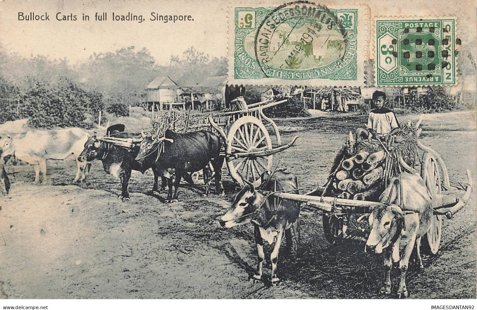 SINGAPOUR AL#AL0024 BULLOCK CARTS IN FULL LOADING - Singapore