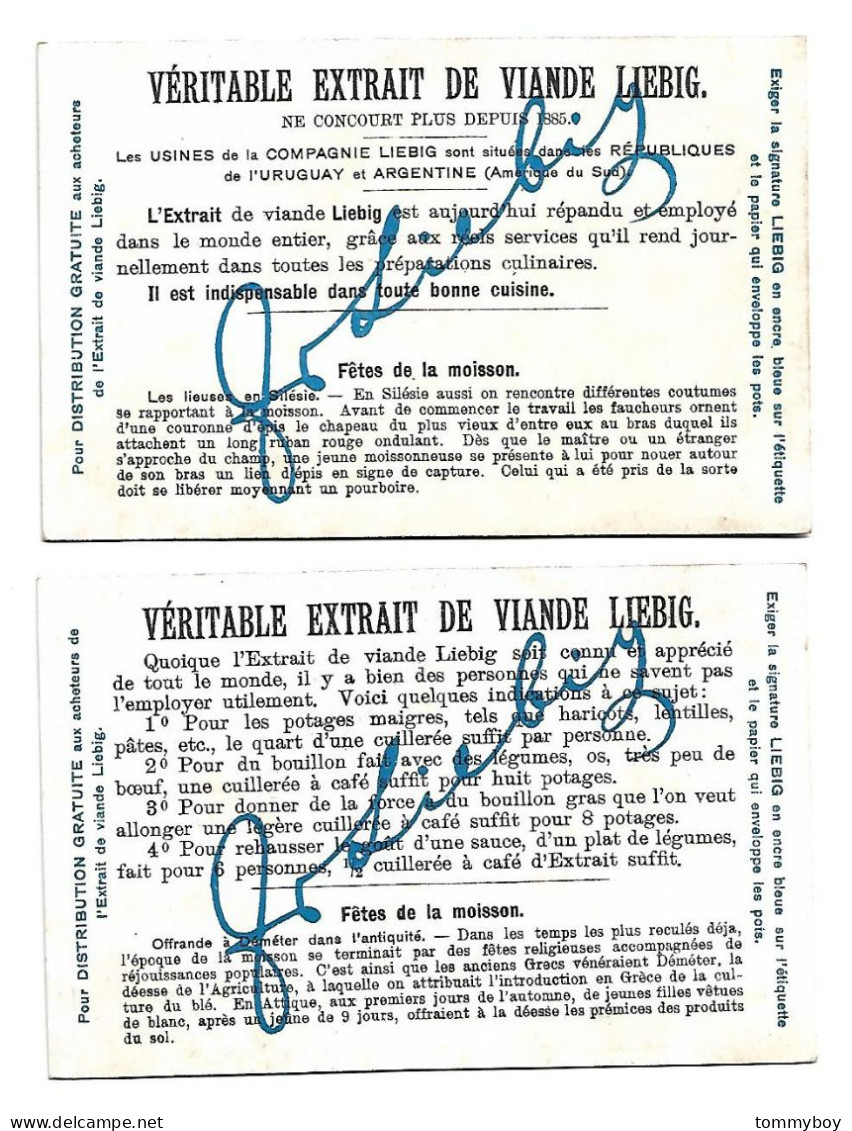 S 800 , Liebig 6 Cards, Fête De La Moisson (ref B20) - Liebig