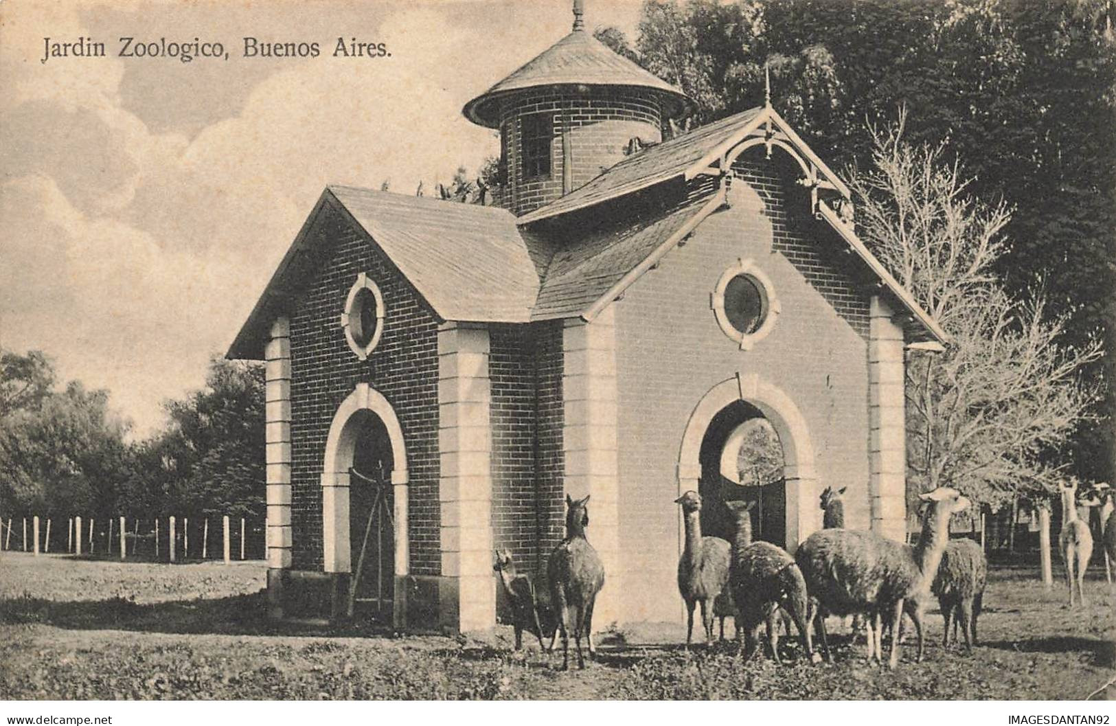 ARGENTINE AP#DC278 BUENOS AIRES JARDIN ZOOLOGIQUE DES LAMAS - Argentine