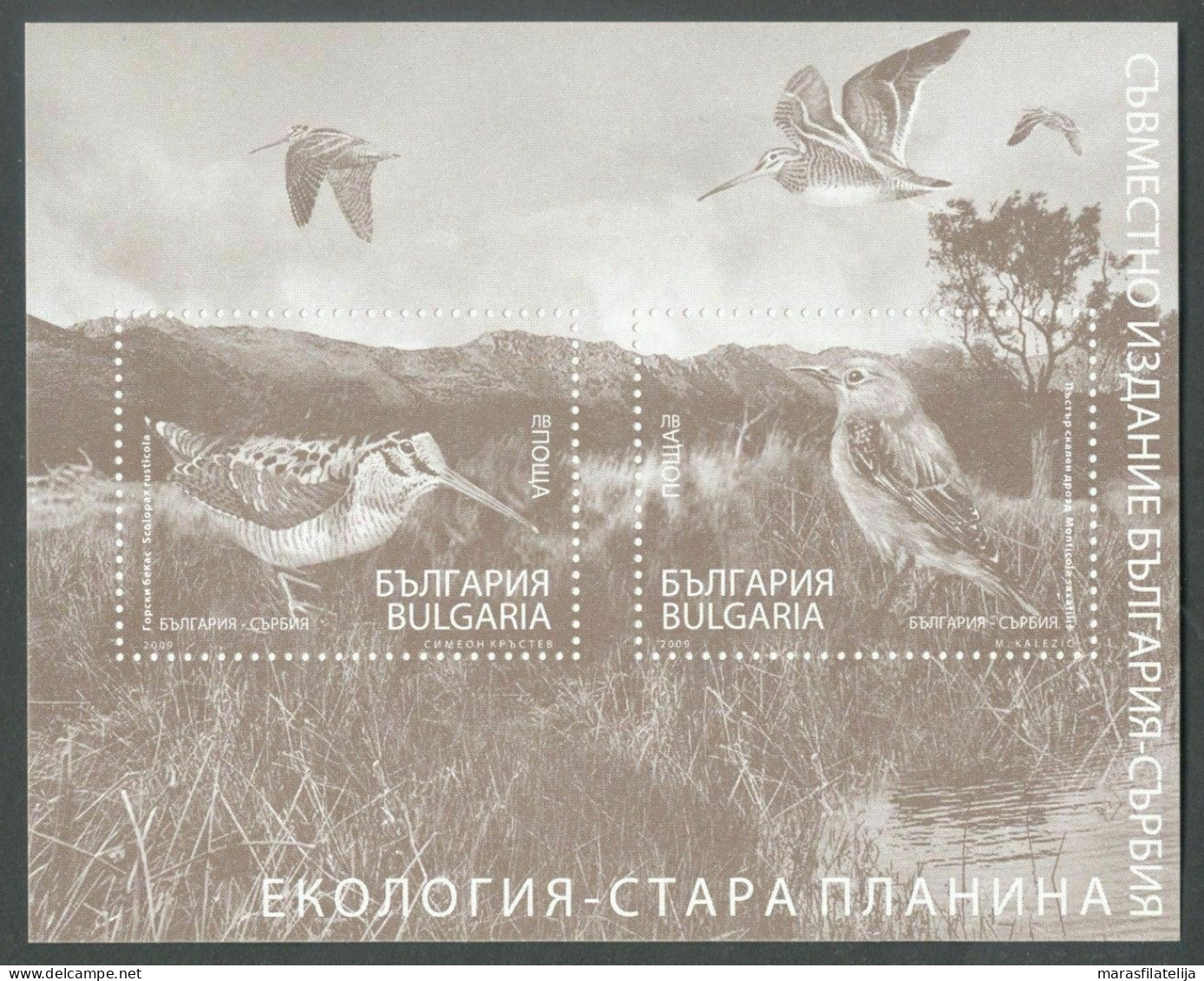 Bulgaria, 2009, Birds, Special Souvenir Sheet - Andere & Zonder Classificatie