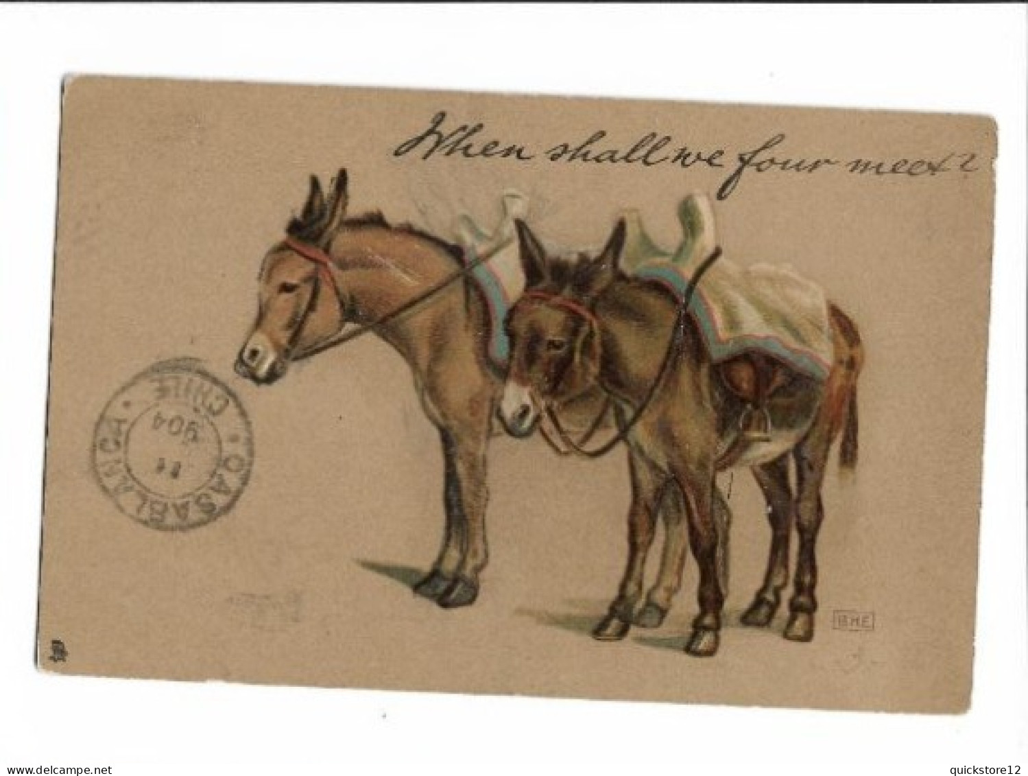 Burros Con Montura  - 7166 - Chile