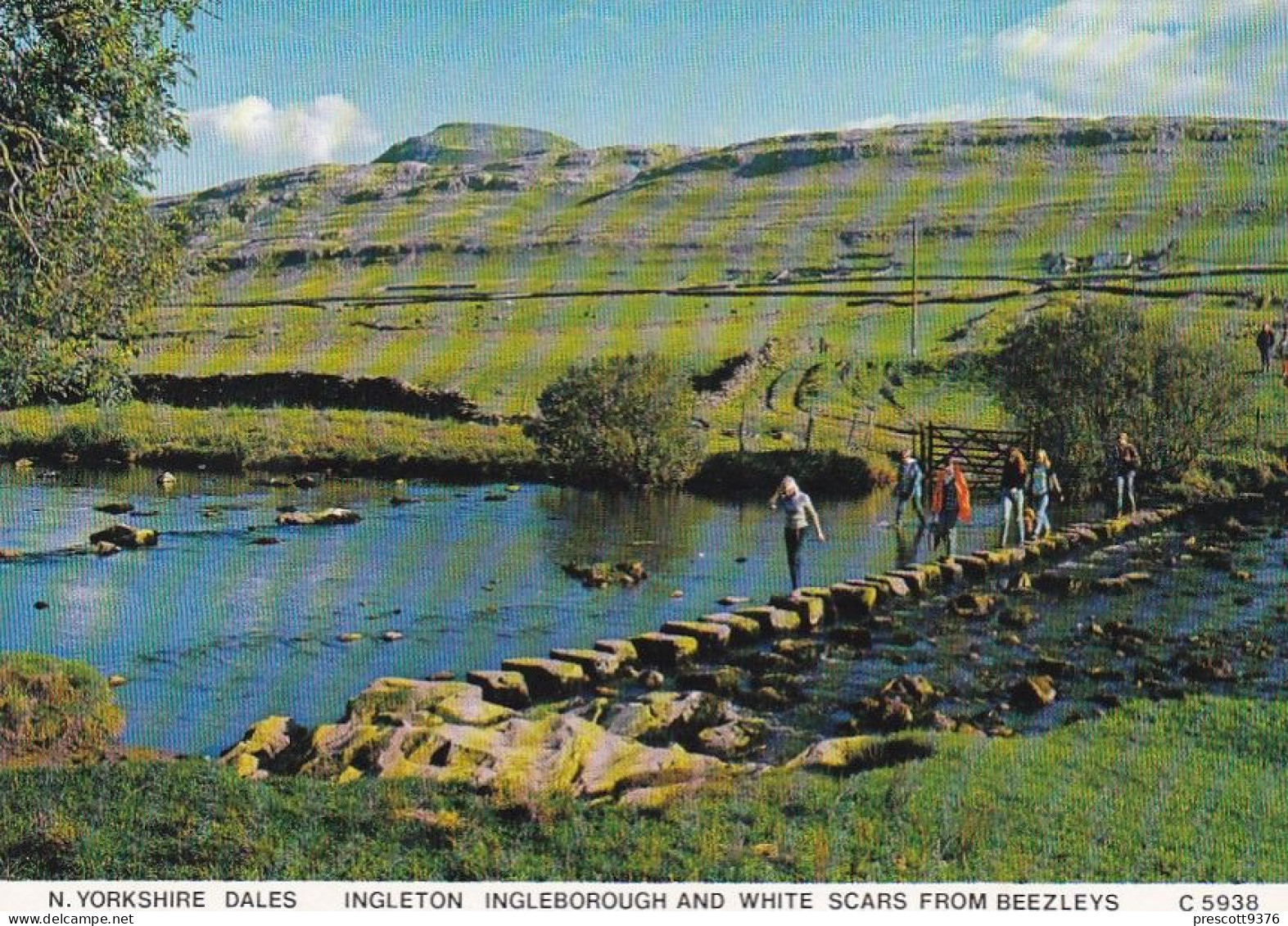 Yorkshire Dales, Ingleton & White Scar -  Unused Postcard -  Uk44 - - Otros & Sin Clasificación