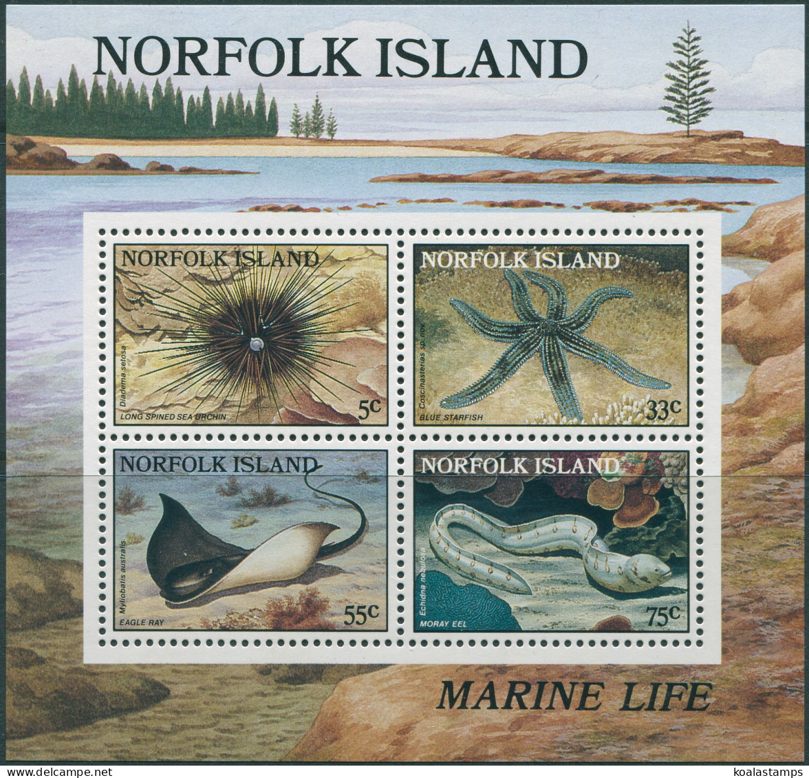 Norfolk Island 1986 SG382 Reef MS MNH - Isla Norfolk
