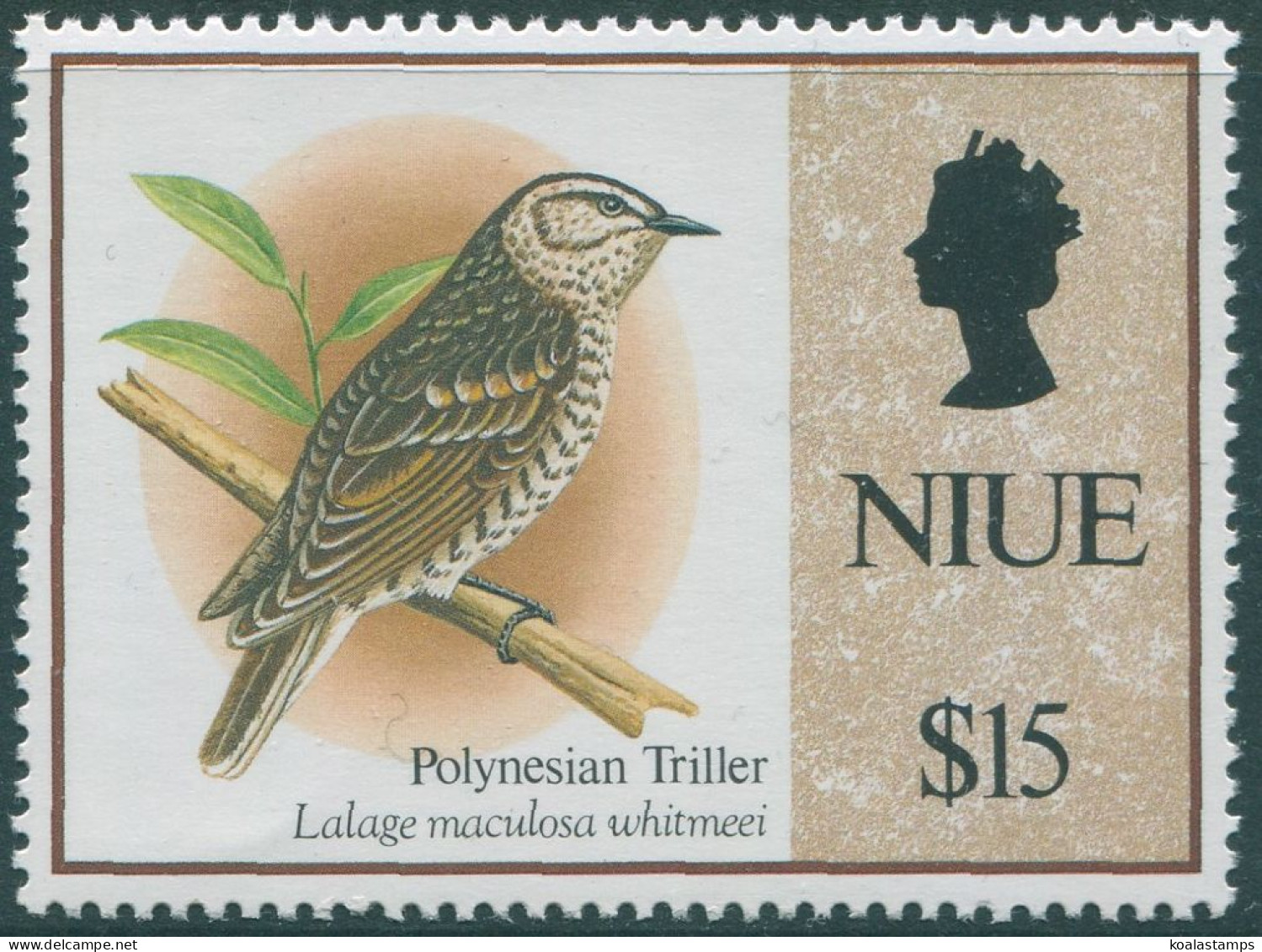 Niue 1992 SG729 $15 Spotted Triller Bird QEII MNH - Niue