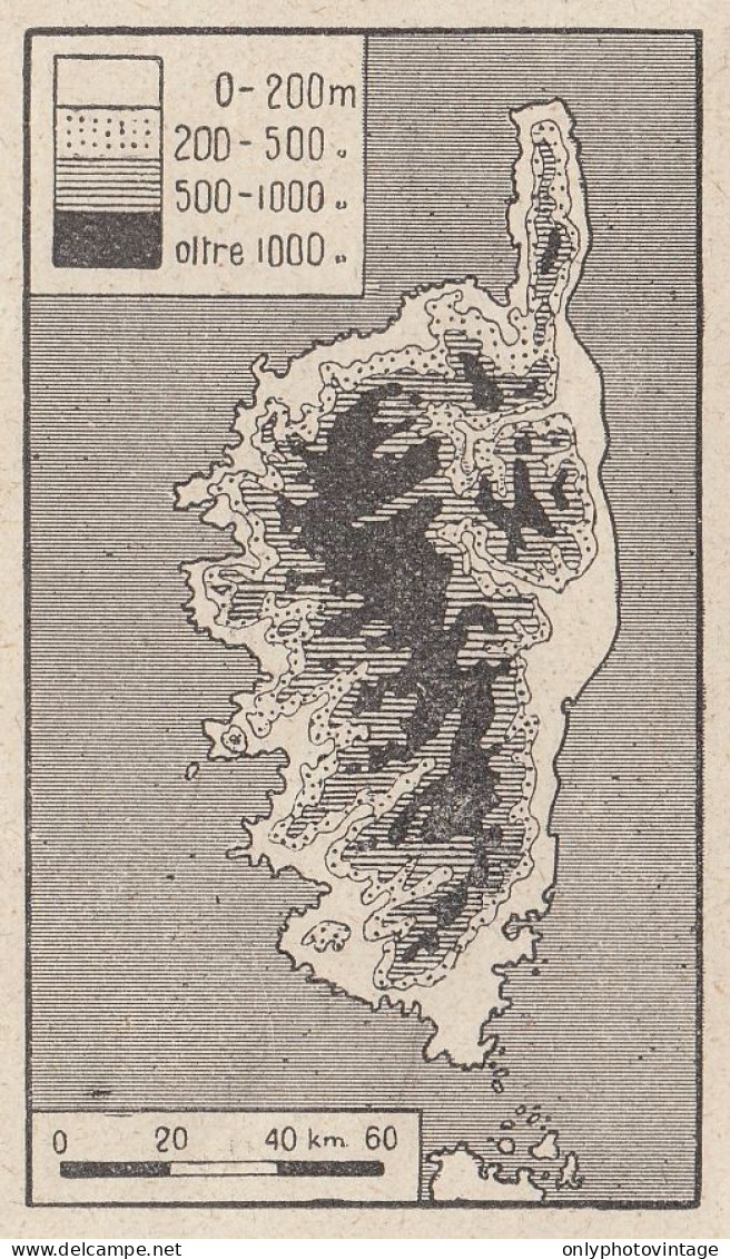France - Zone Altimetriche In Corsica - 1938 Mappa Epoca - Vintage Map - Landkarten