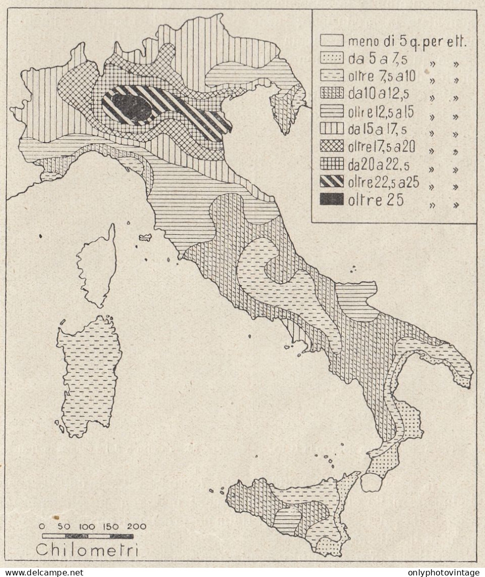 Italia - Coltura Del Grano - 1938 Mappa Epoca - Vintage Map - Geographische Kaarten
