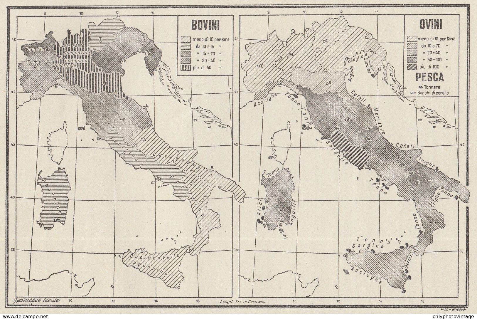 Regno D'Italia - Bovini - Ovini - Pesca - Mappa D'epoca - 1934 Vintage Map - Geographical Maps