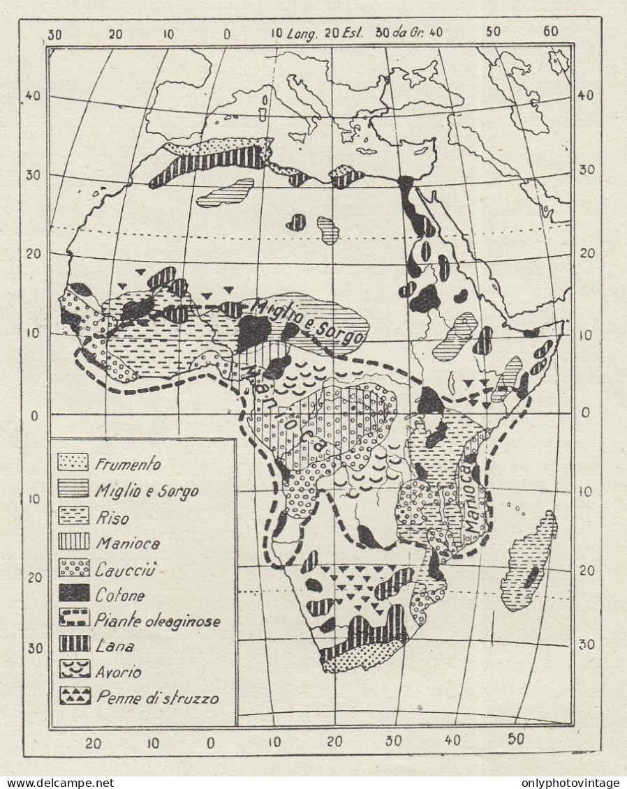 Africa - Prodotti Vegetali E Animali - Mappa D'epoca - 1936 Vintage Map - Carte Geographique
