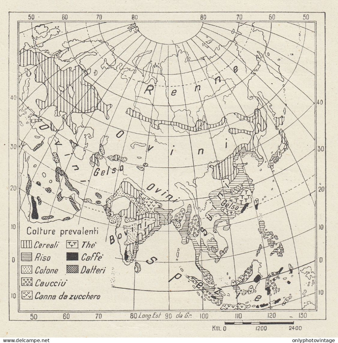 Asia - Prodotti Vegetali E Animali - Mappa D'epoca - 1936 Vintage Map - Geographical Maps