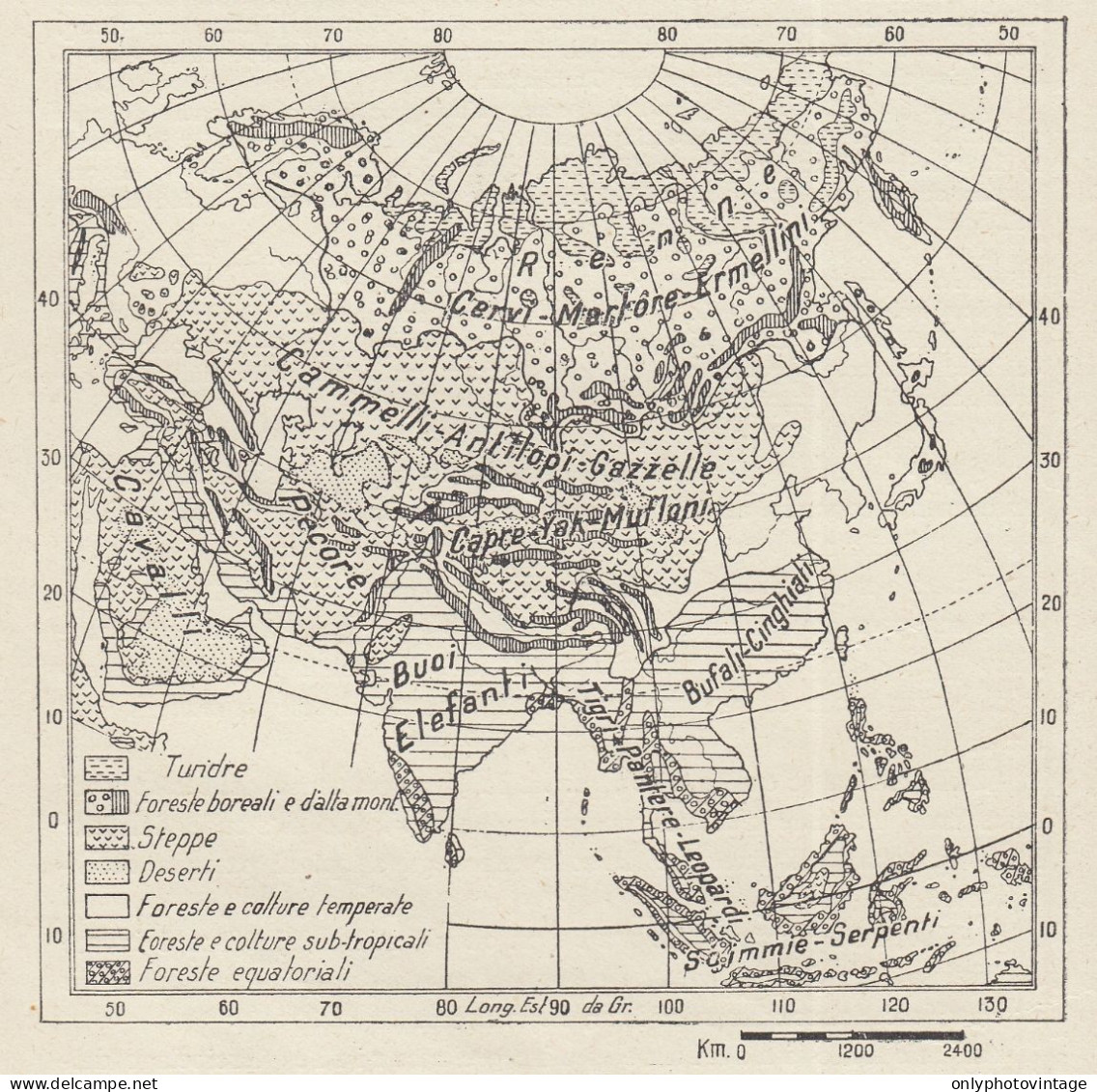 Asia - Flora E Fauna - Mappa D'epoca - 1936 Vintage Map - Carte Geographique