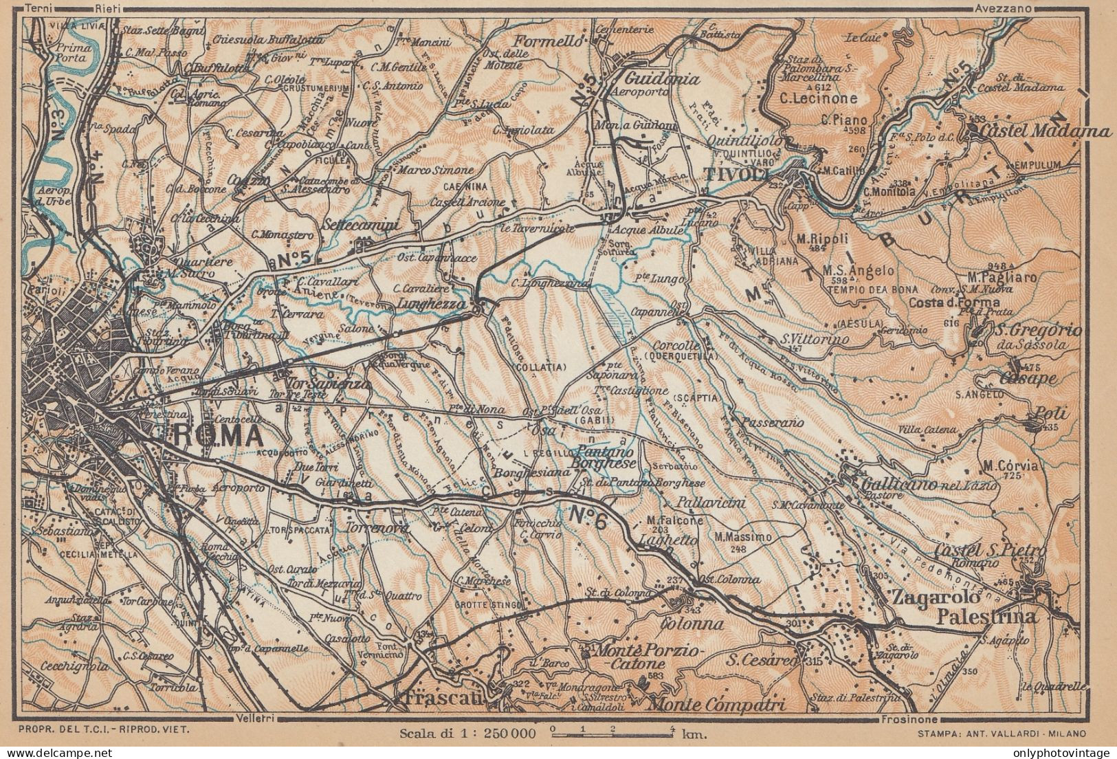 Roma E Dintorni, Palestrina, Tivoli, Carta Geografica Epoca, Vintage Map - Carte Geographique