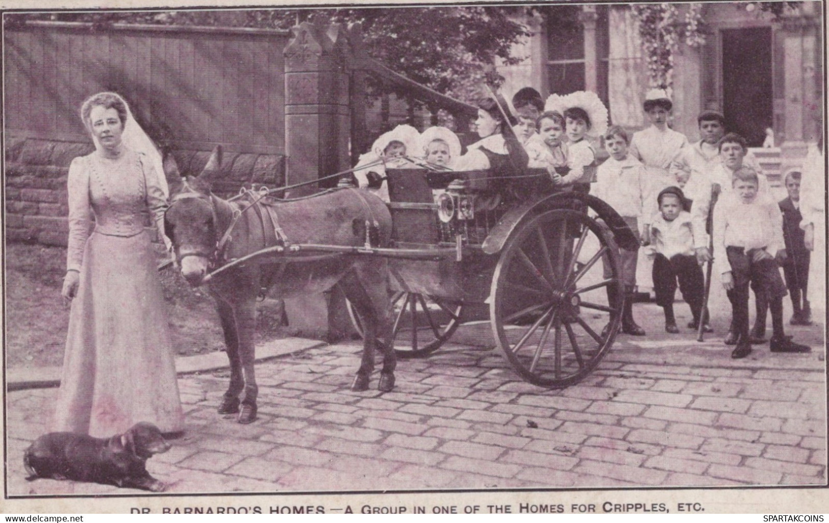 ASINO Animale BAMBINO Vintage CPA Cartolina #PAA191.IT - Donkeys