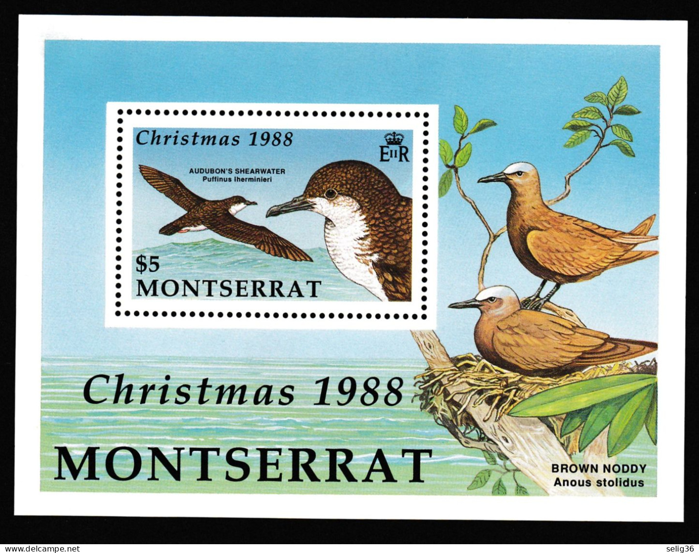 Montserrat 1988 YT BF 47 ** - Montserrat