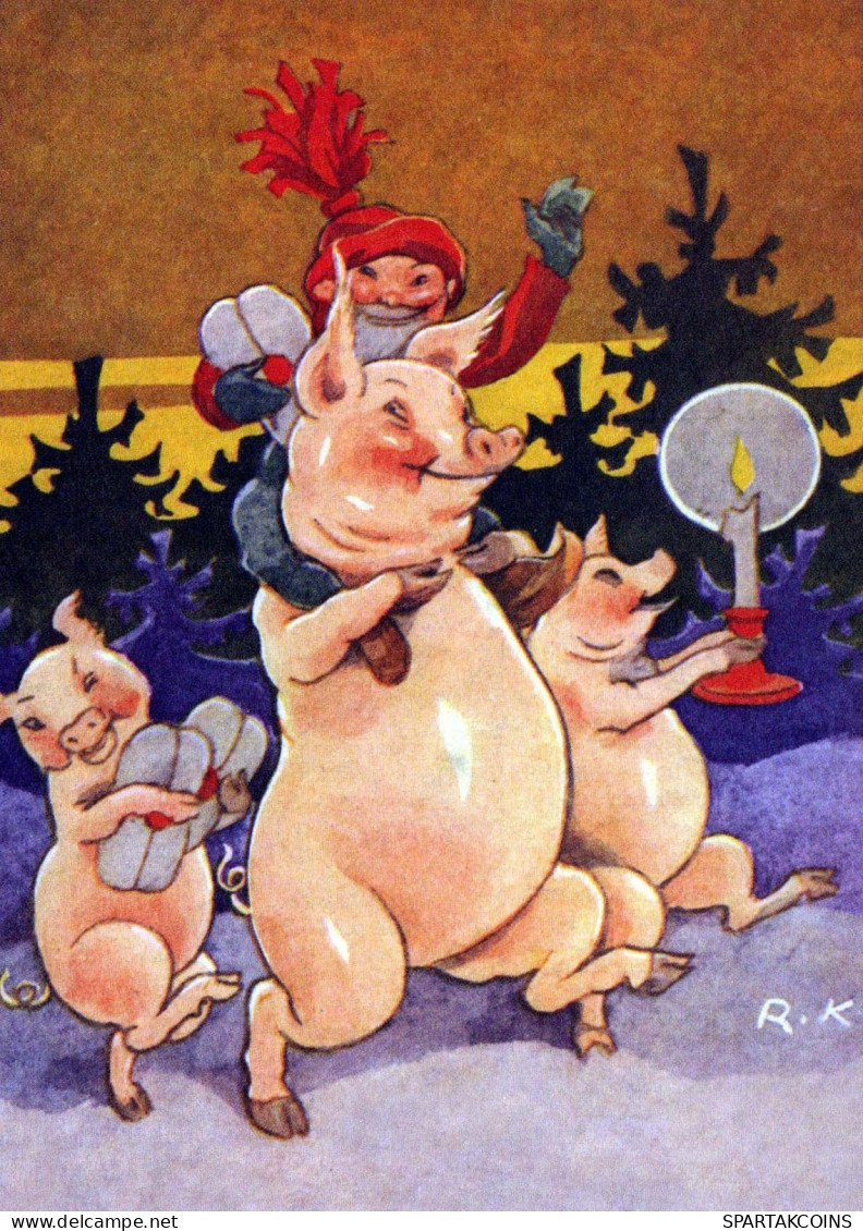 MAIALE Animale Vintage Cartolina CPSM #PBR767.IT - Schweine
