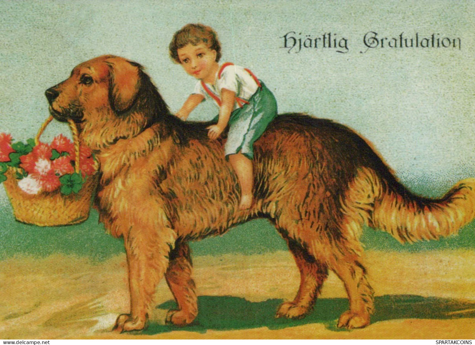 CANE Animale Vintage Cartolina CPSM #PBQ468.IT - Cani