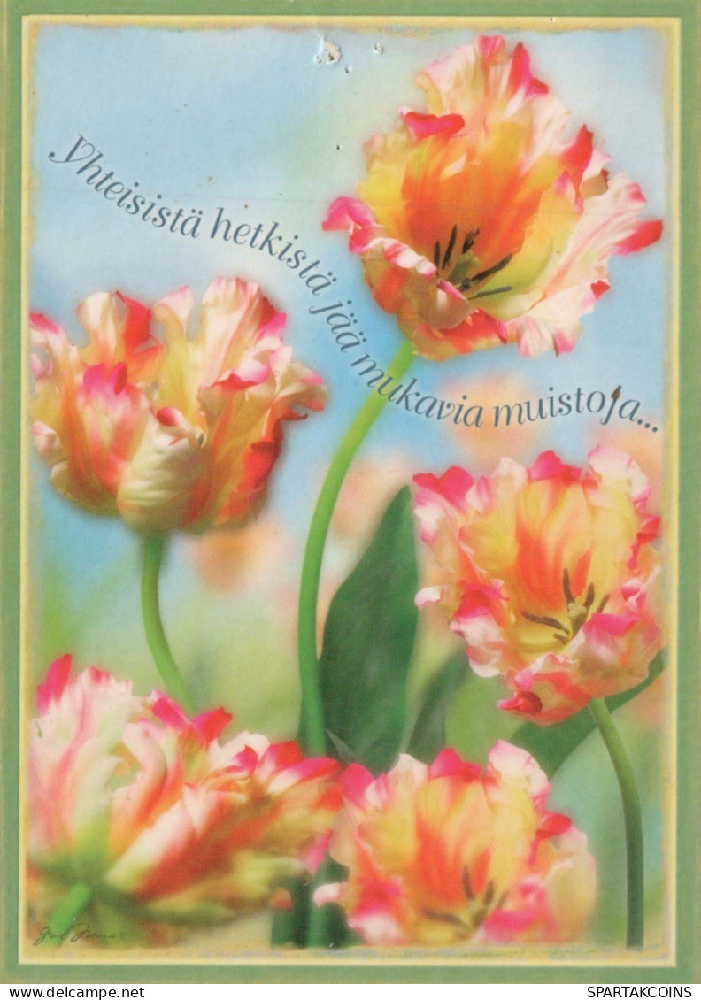 FLORES Vintage Tarjeta Postal CPSM #PBZ341.ES - Fleurs