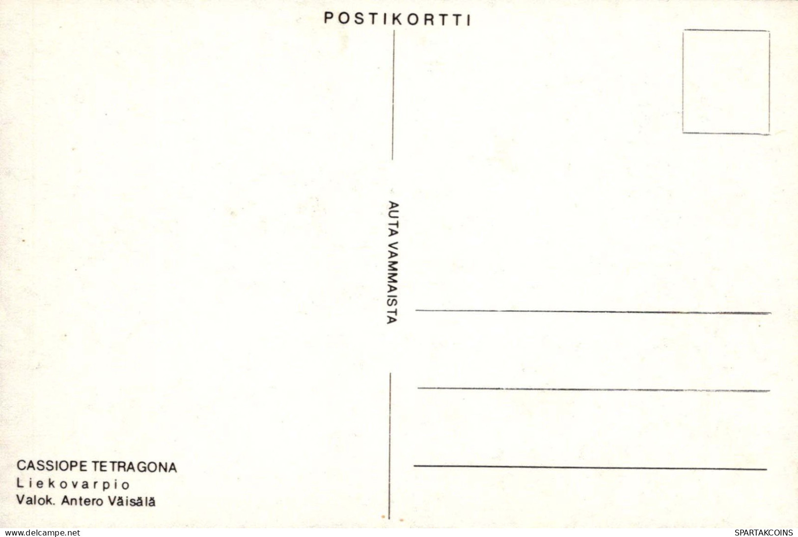 FLORES Vintage Tarjeta Postal CPSM #PBZ161.ES - Blumen