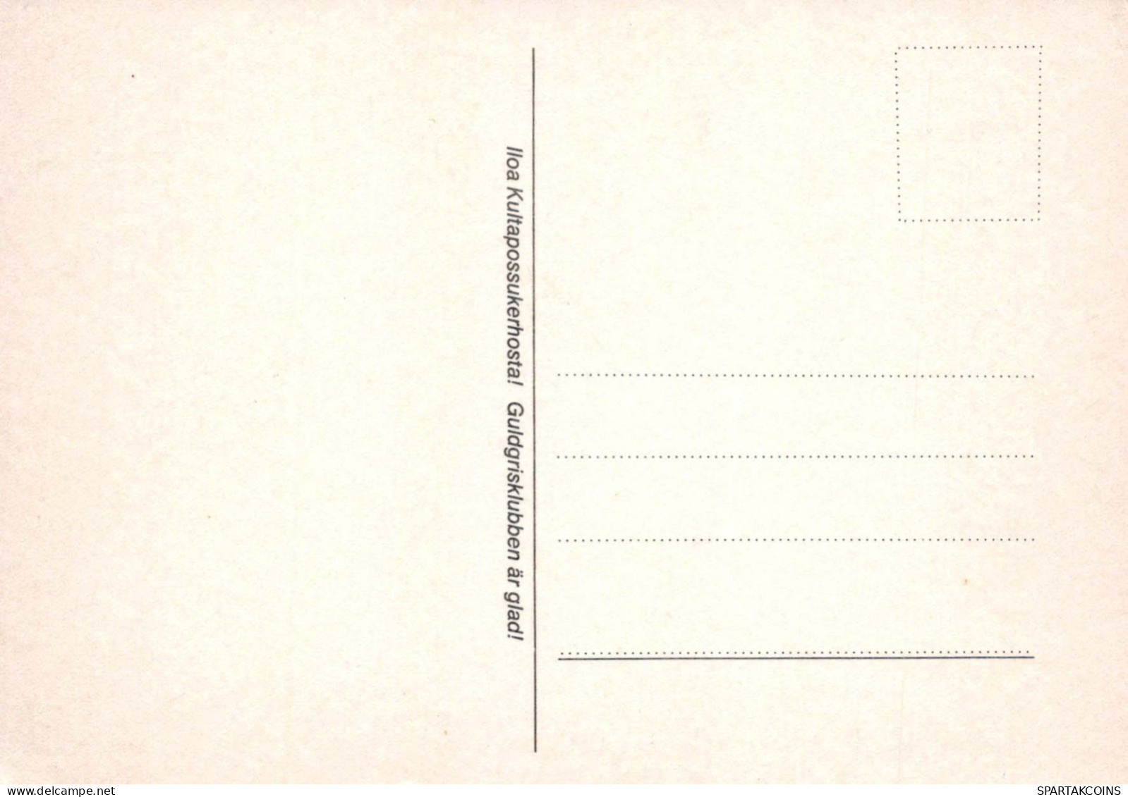 CERDOS Animales Vintage Tarjeta Postal CPSM #PBR764.ES - Pigs