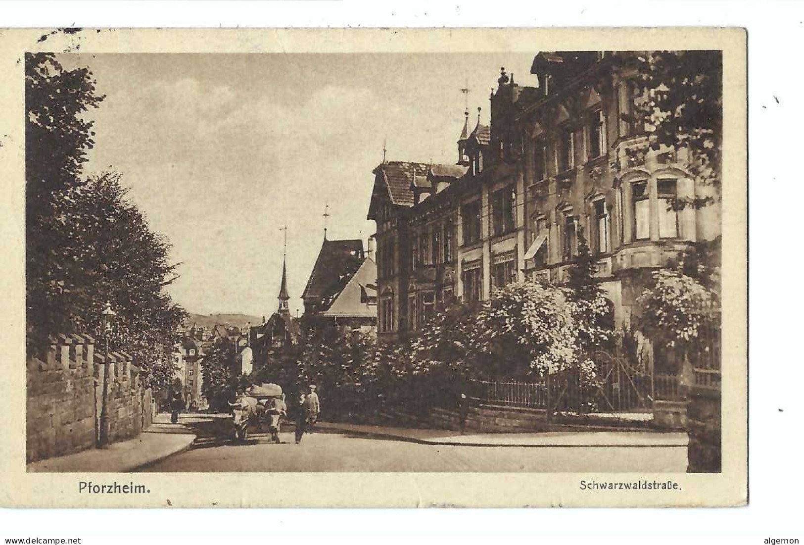 32491 - Pforzheim Schwarzwaldstrasse Attelage De Boeufs - Pforzheim