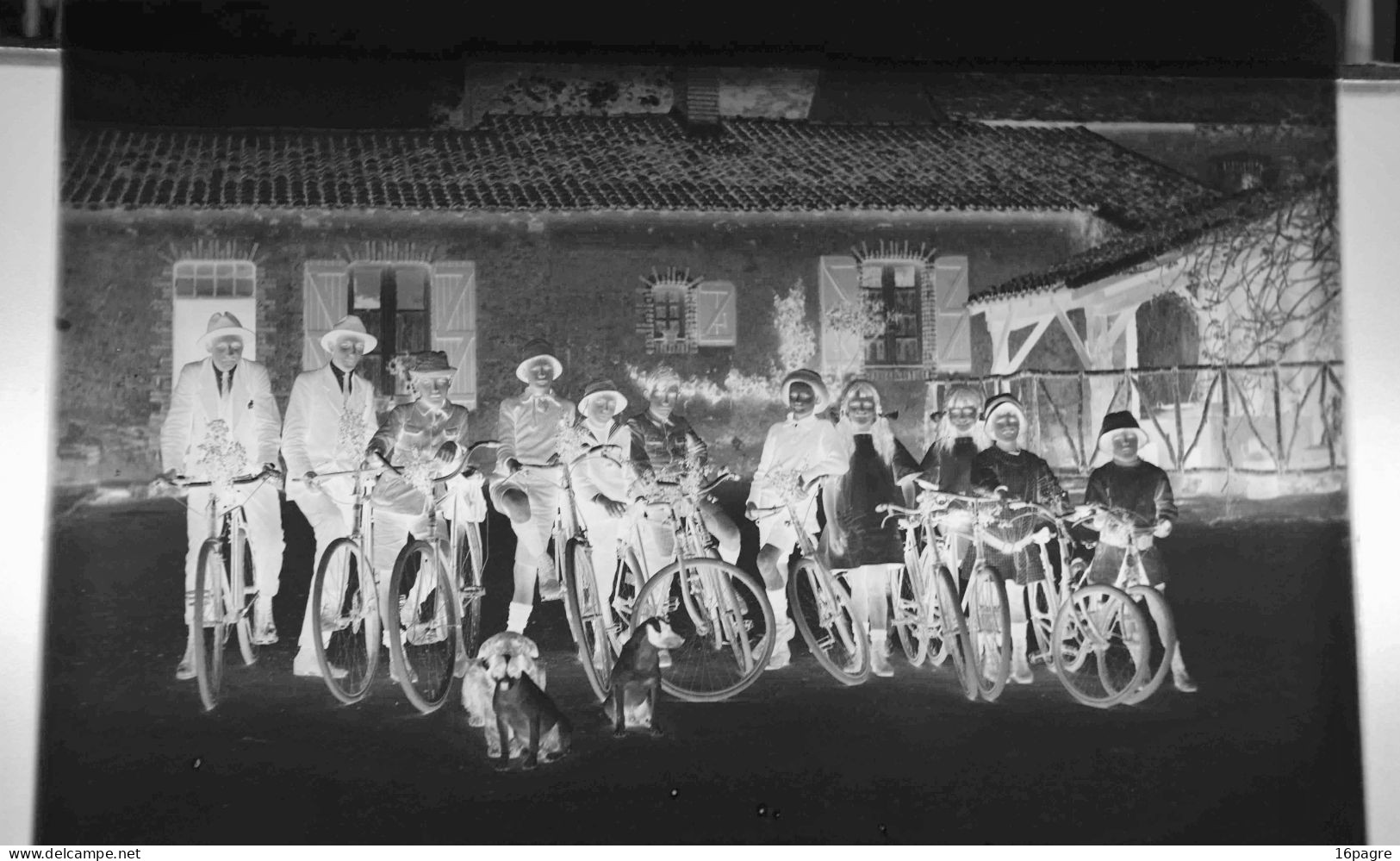 LOT DE TROIS GRANDES PLAQUES DE VERRE. GROUPE DE JEUNES CYCLISTES. MACHECOUL.CHIENS, LOIRE-ATLANTIQUE. 1950 - Plaques De Verre