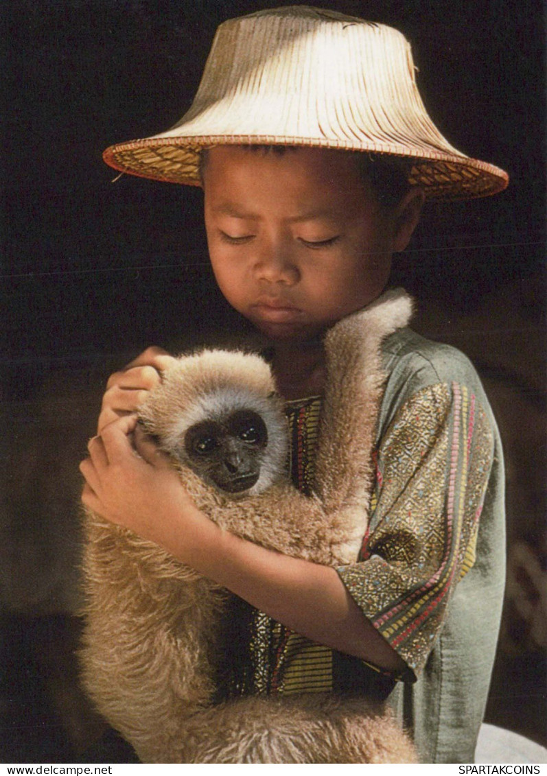 SINGE Animaux Vintage Carte Postale CPSM #PBR981.FR - Monkeys