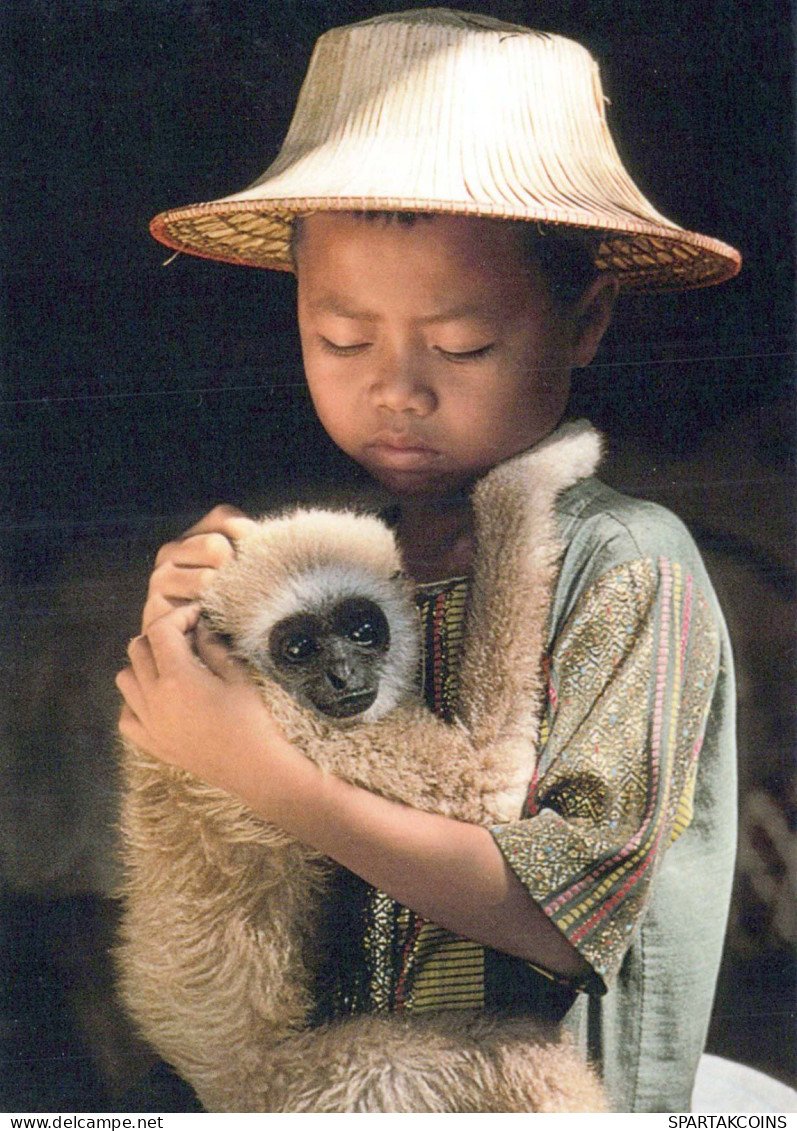 SINGE Animaux Vintage Carte Postale CPSM #PBR981.FR - Monkeys