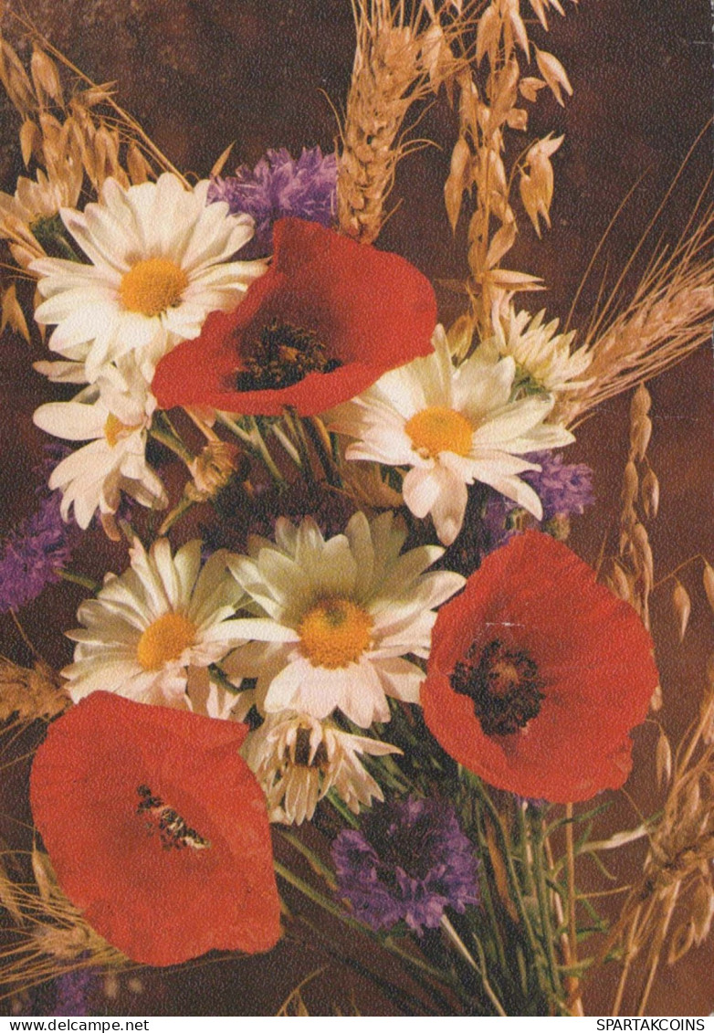 FLEURS Vintage Carte Postale CPSM #PAR213.FR - Fleurs