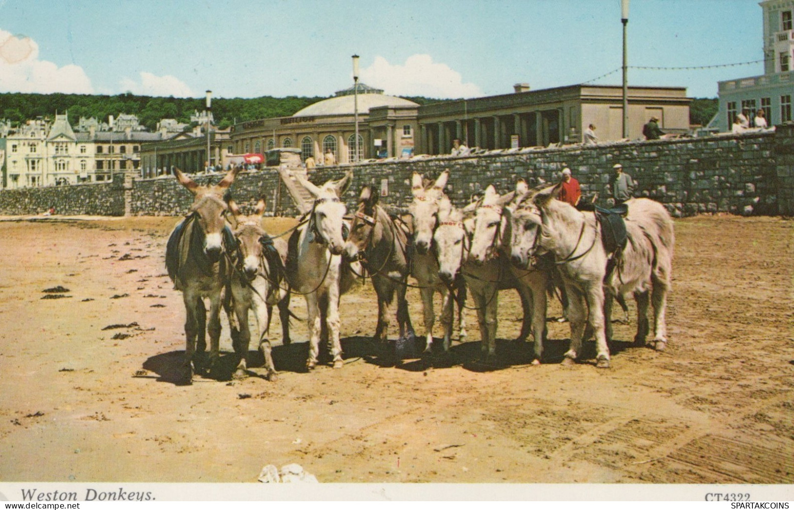 BURRO Animales Niños Vintage Antiguo CPA Tarjeta Postal #PAA342.ES - Donkeys