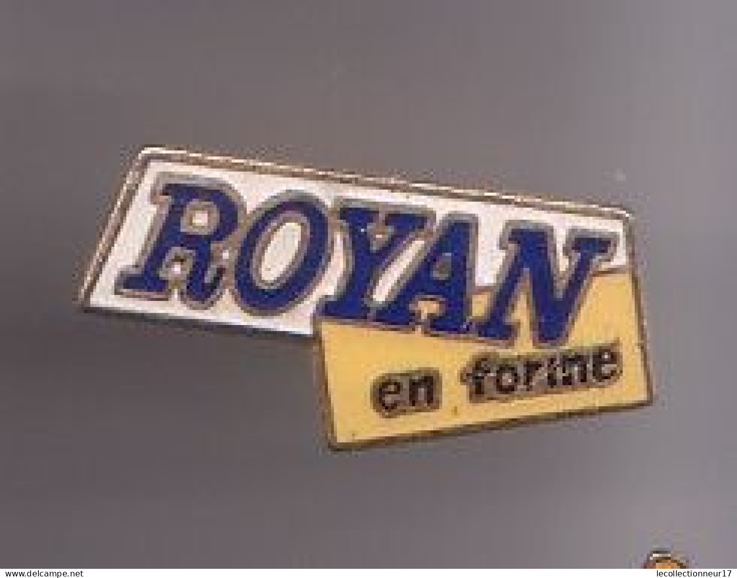 Pin's Royan En Forme Réf 731 - Villes