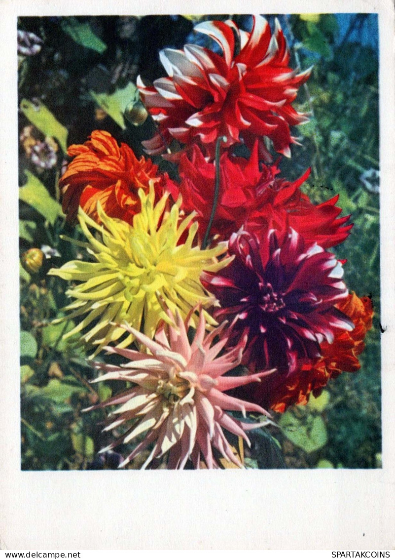 FLOWERS Vintage Ansichtskarte Postkarte CPSM #PAR695.DE - Flowers