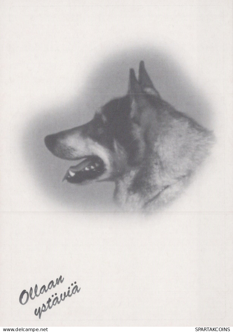 HUND Tier Vintage Ansichtskarte Postkarte CPSM #PAN971.DE - Dogs