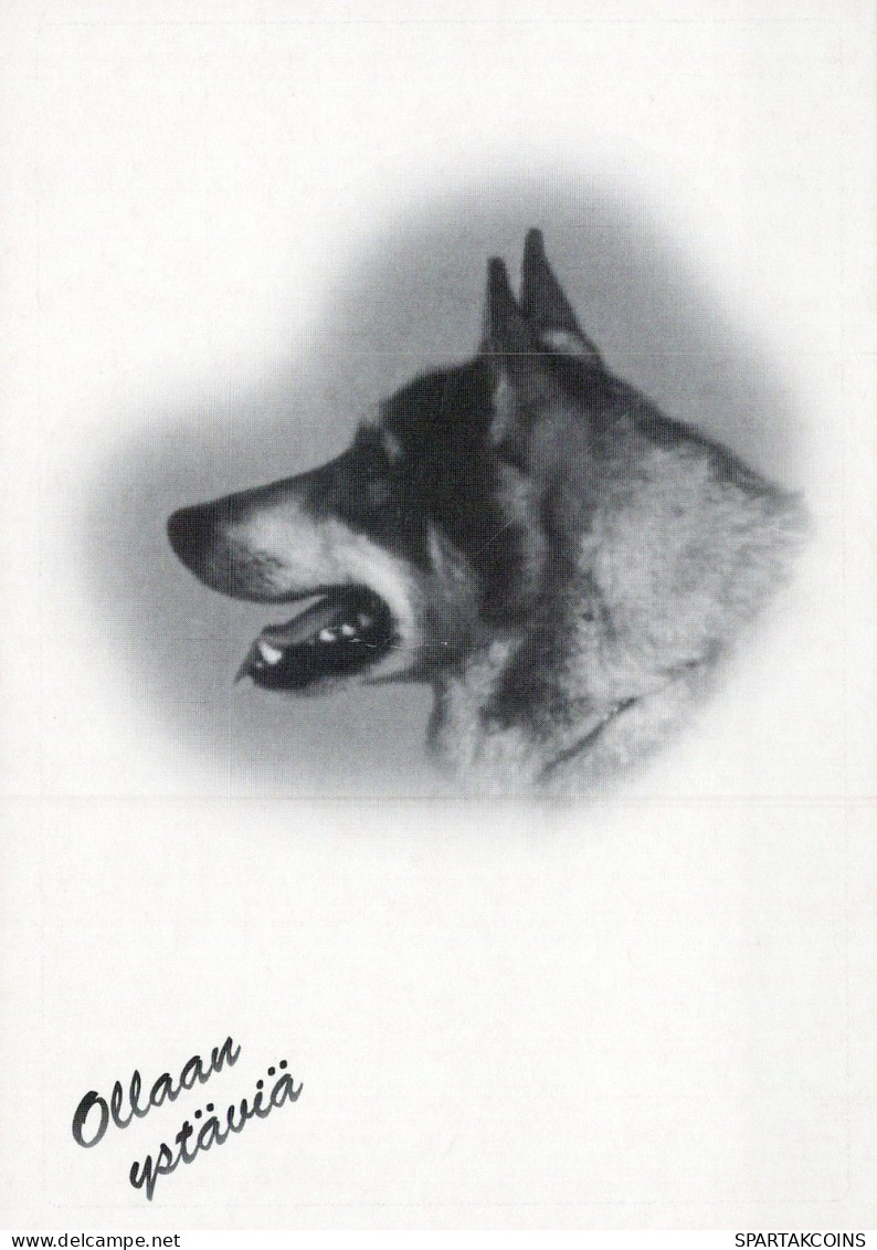 HUND Tier Vintage Ansichtskarte Postkarte CPSM #PAN971.DE - Dogs