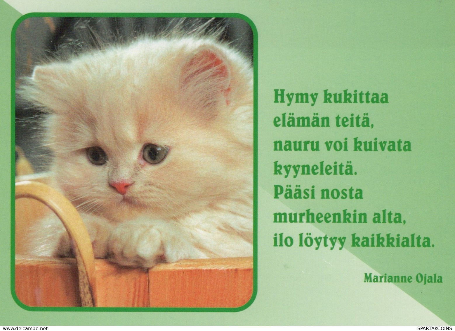 KATZE MIEZEKATZE Tier Vintage Ansichtskarte Postkarte CPSM #PAM571.DE - Cats