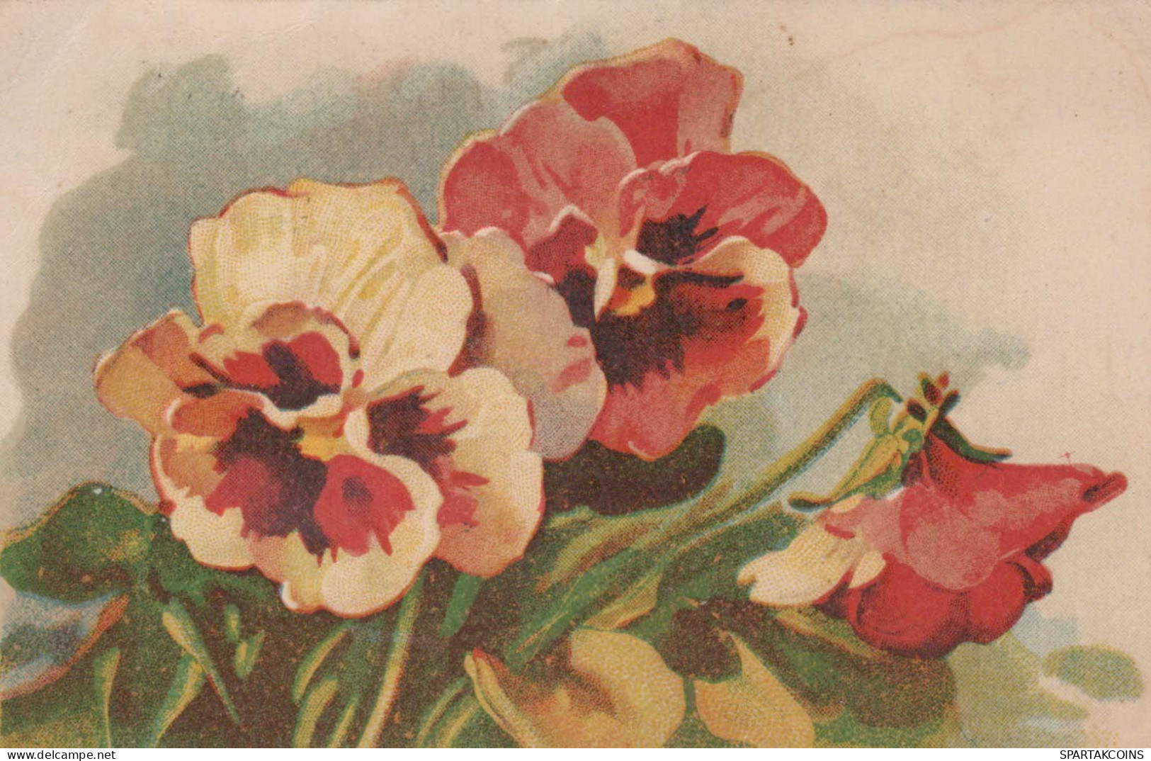 FLOWERS Vintage Postcard CPA #PKE574.GB - Fiori