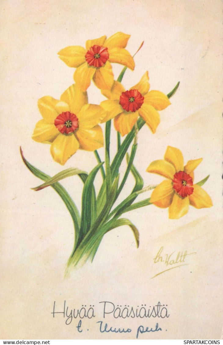 FLOWERS Vintage Postcard CPA #PKE259.GB - Blumen