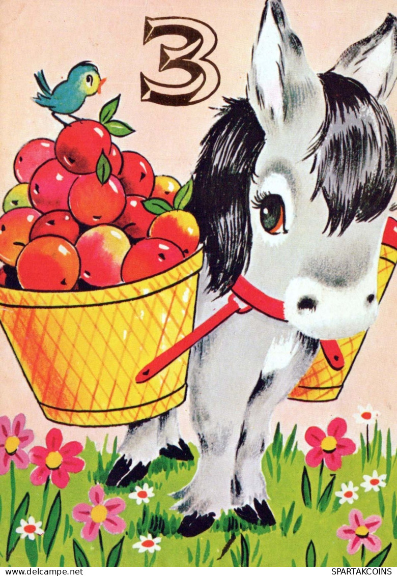 HORSE Animals Vintage Postcard CPSM #PBR900.GB - Pferde