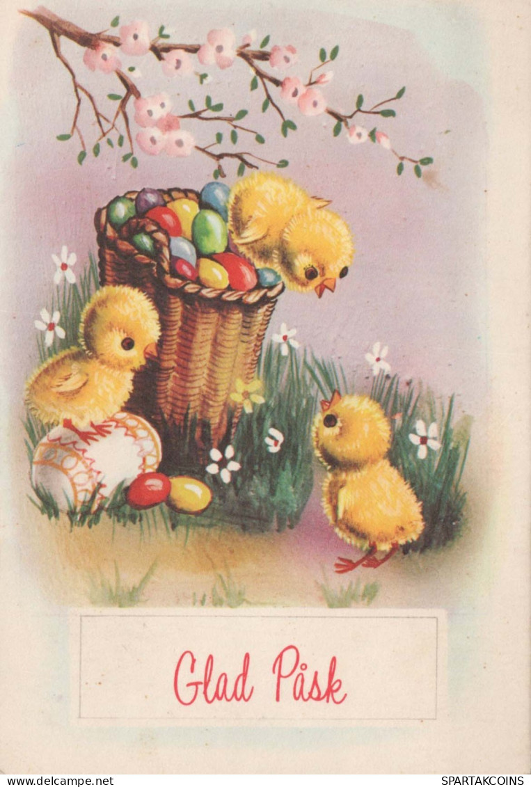 EASTER CHICKEN EGG Vintage Postcard CPSM #PBO626.GB - Pâques