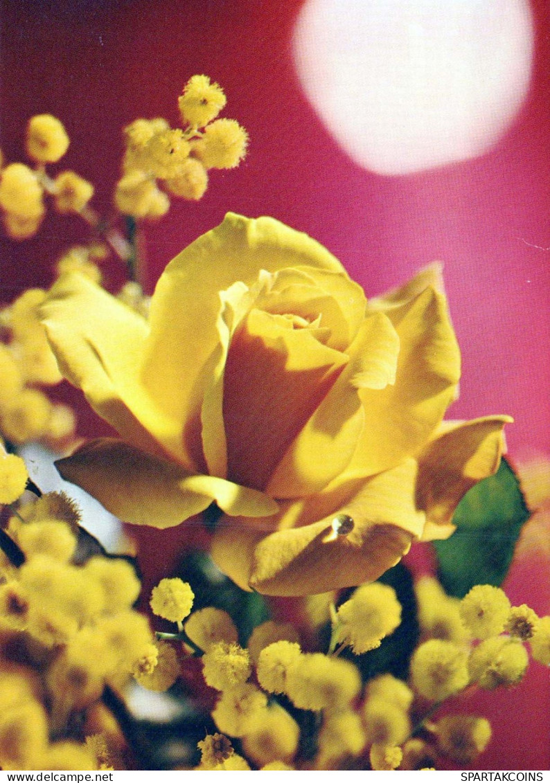 FLOWERS Vintage Postcard CPSM #PAS353.GB - Flowers