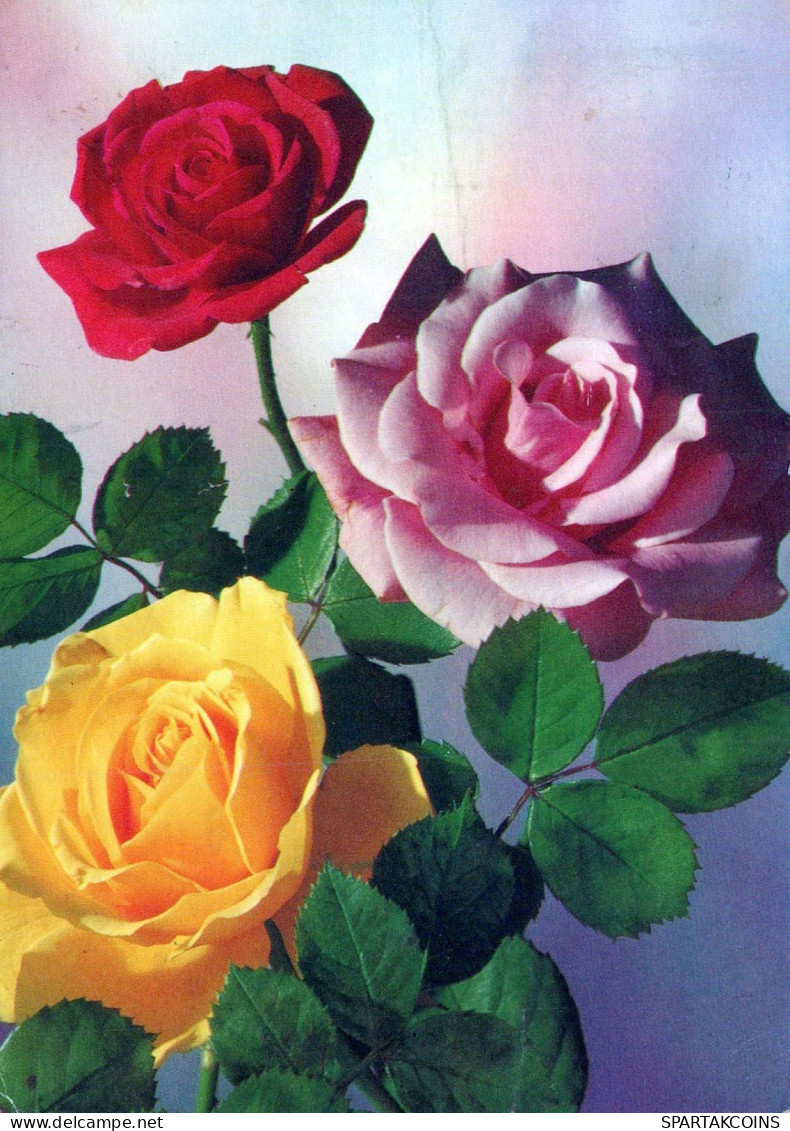 FLOWERS Vintage Postcard CPSM #PAR992.GB - Blumen