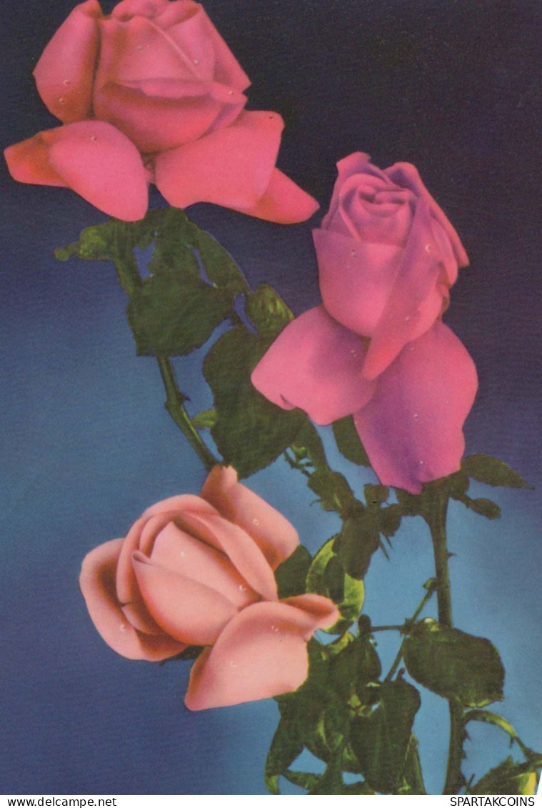 FLOWERS Vintage Postcard CPSM #PAR872.GB - Flowers