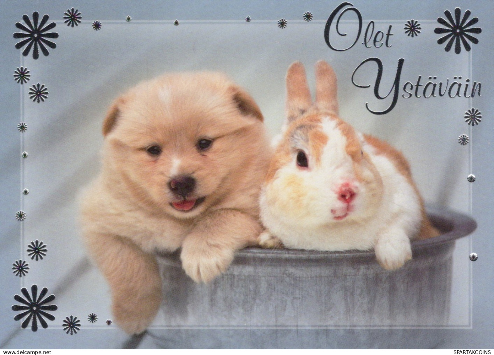 DOG Animals Vintage Postcard CPSM #PAN704.GB - Cani